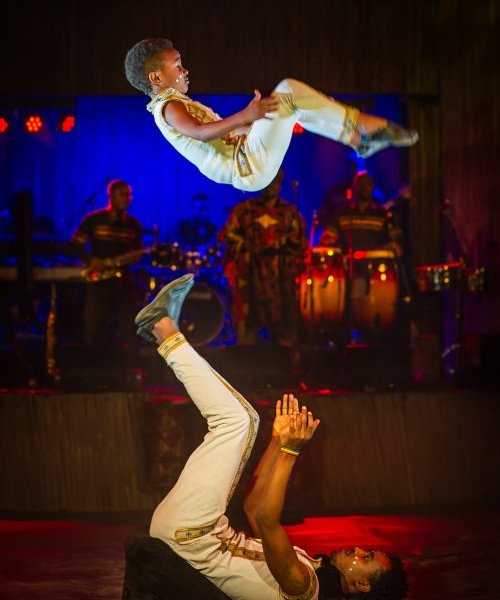 Cirque Africa Show