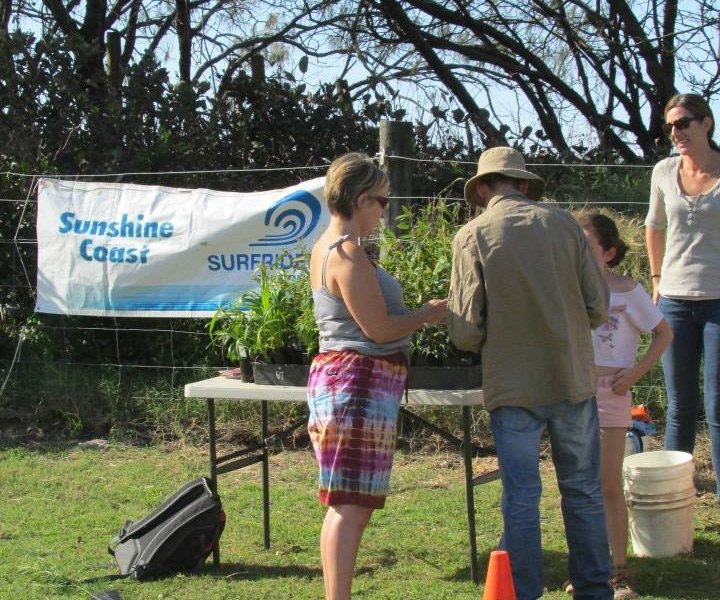 Surfrider Sunshine Coast